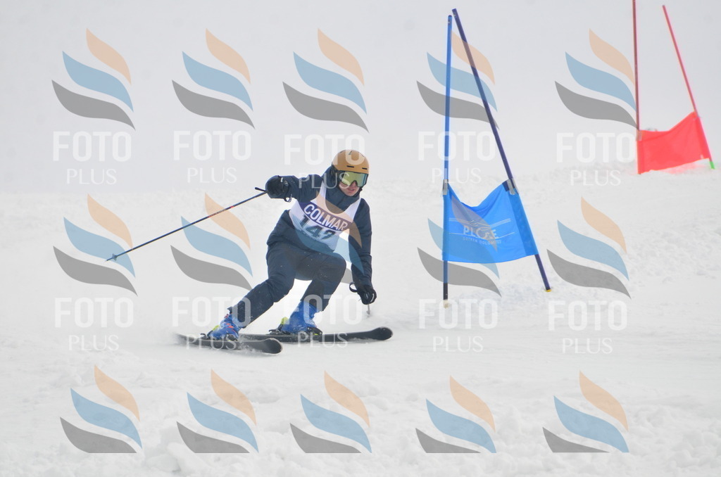 A6175 | holidayphoto