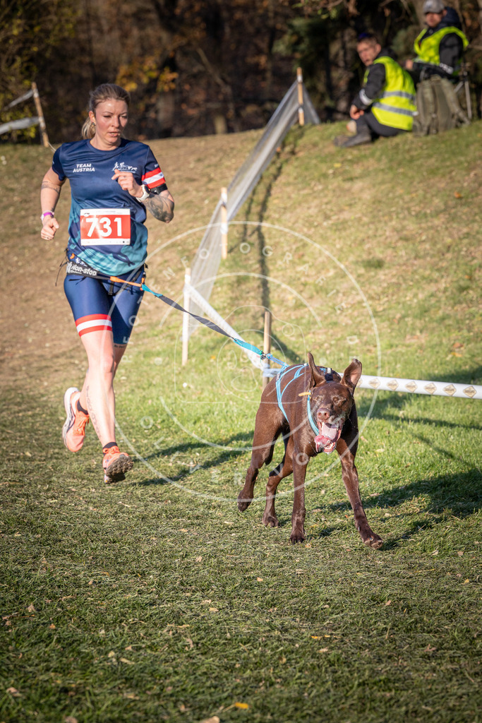 CaniXpix_0L8A9832 | Hundefotografie, Tierfotograf, Pfotenfotografie, Fotoshooting Hund, Hunde Portrait, Hundesport, Hundeportraits, Heideshooting, Hunde, Sportfotograf, Hundefotograf, Turnierhundsport, THS,  - Realisiert mit Pictrs.com
