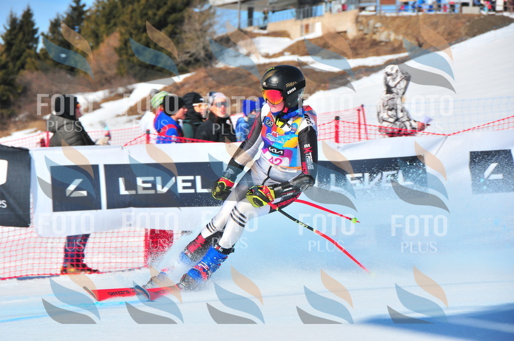 DSC_4035 | holidayphoto