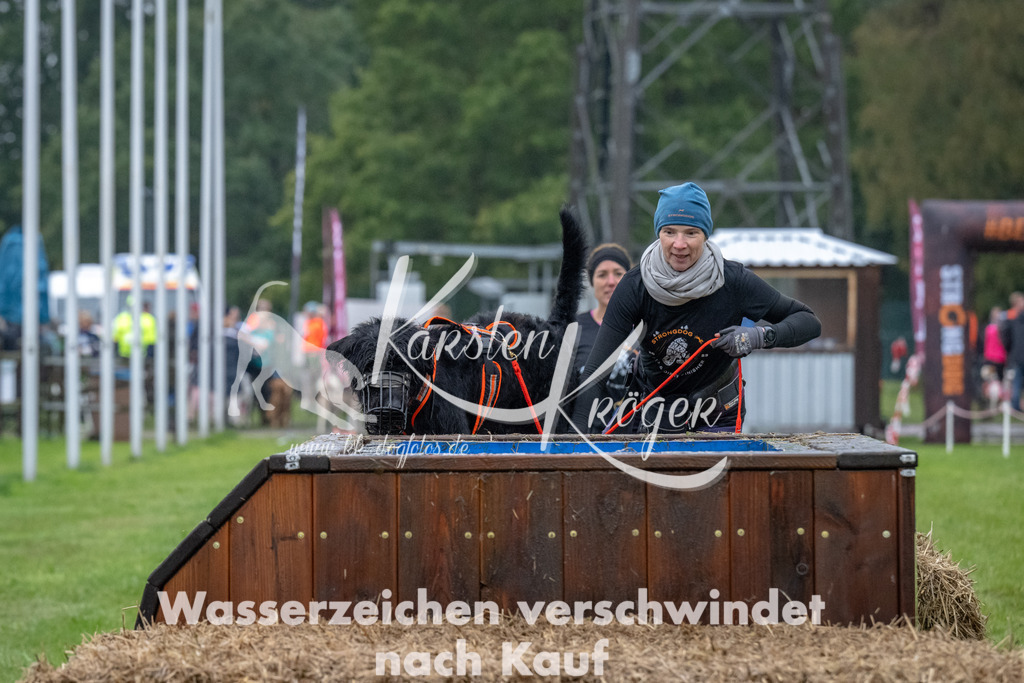 1111-93777 | kk-dogfotos