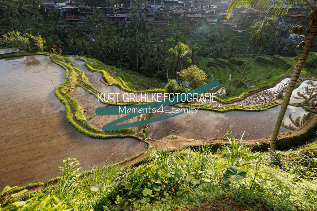 230720-1382 | onlinegalerie und Fotoshop Kurt Gruhlke Fotograf Berlin
Hochzeitsfotograf Eventfotograf Portraitfotografie
 - Realisiert mit Pictrs.com