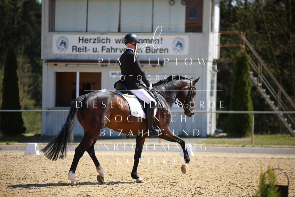 IMGT7381 | pl-fotografie