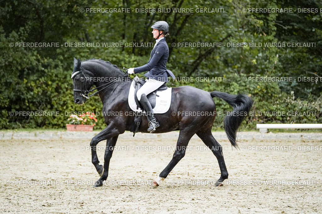 DSC00158 | Pferdegrafie