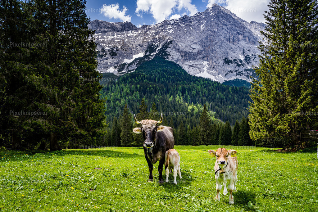 Gaistal | Fotograf Tirol Imst Pixelknipserei