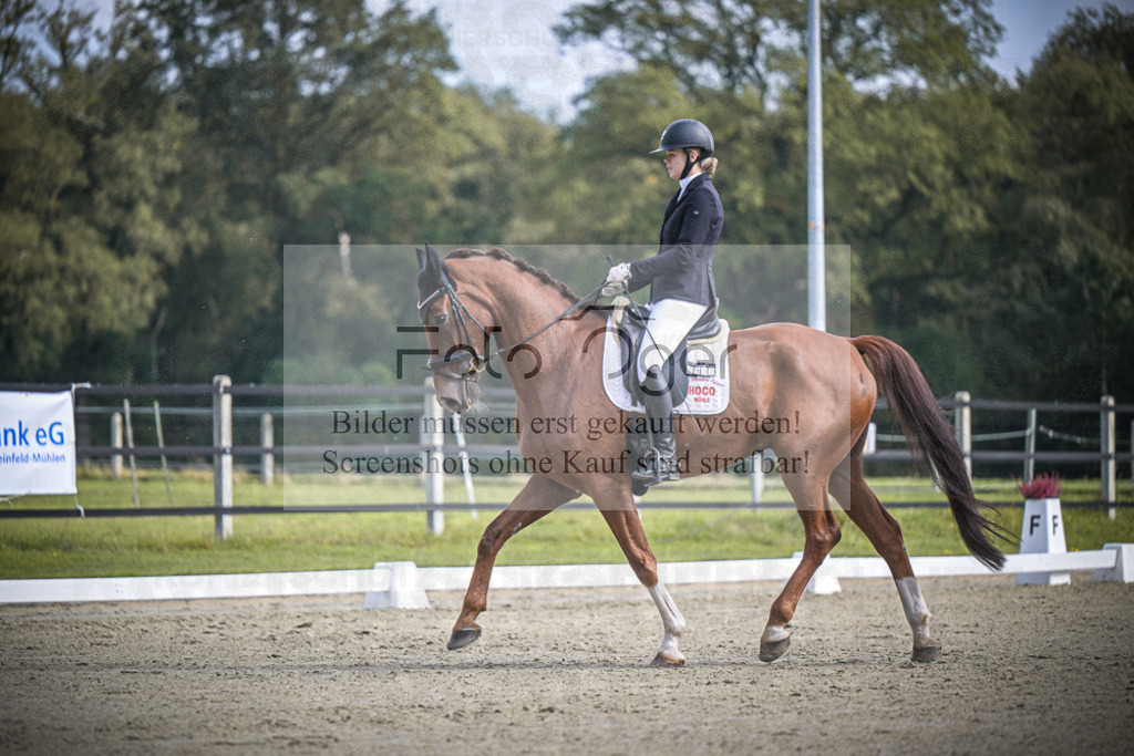 DOS_B666 | Entdecke hochwertige Reitturnierfotos von Foto Oger. Professionell, emotional und authentisch – jetzt Lieblingsmomente im Shop bestellen.Deutschlandweite Turnierfotografie. - Realisiert mit Pictrs.com