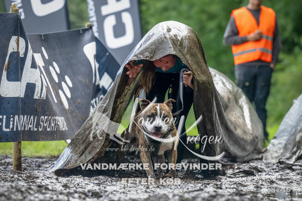 1147_ZZ94240-Bearbeitet | kk-dogfotos