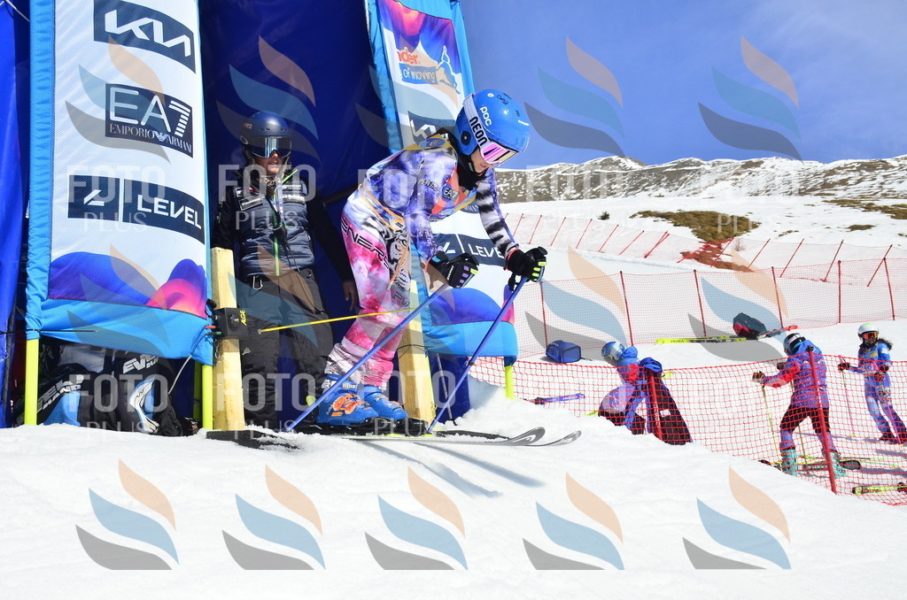 _ELE0758 | holidayphoto