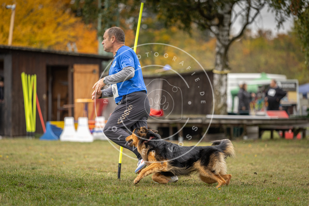 Pfotenfotografie_DV3A6204 | Hundefotografie, Tierfotograf, Pfotenfotografie, Fotoshooting Hund, Hunde Portrait, Hundesport, Hundeportraits, Heideshooting, Hunde, Sportfotograf, Hundefotograf, Turnierhundsport, THS,  - Realisiert mit Pictrs.com