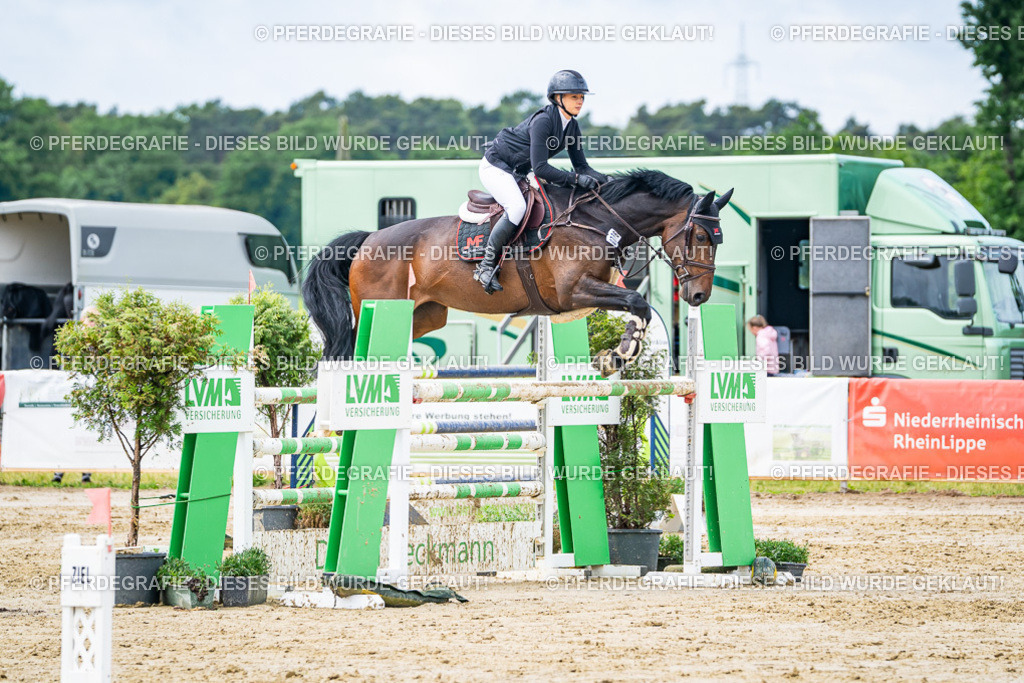 DSC03907 | Pferdegrafie