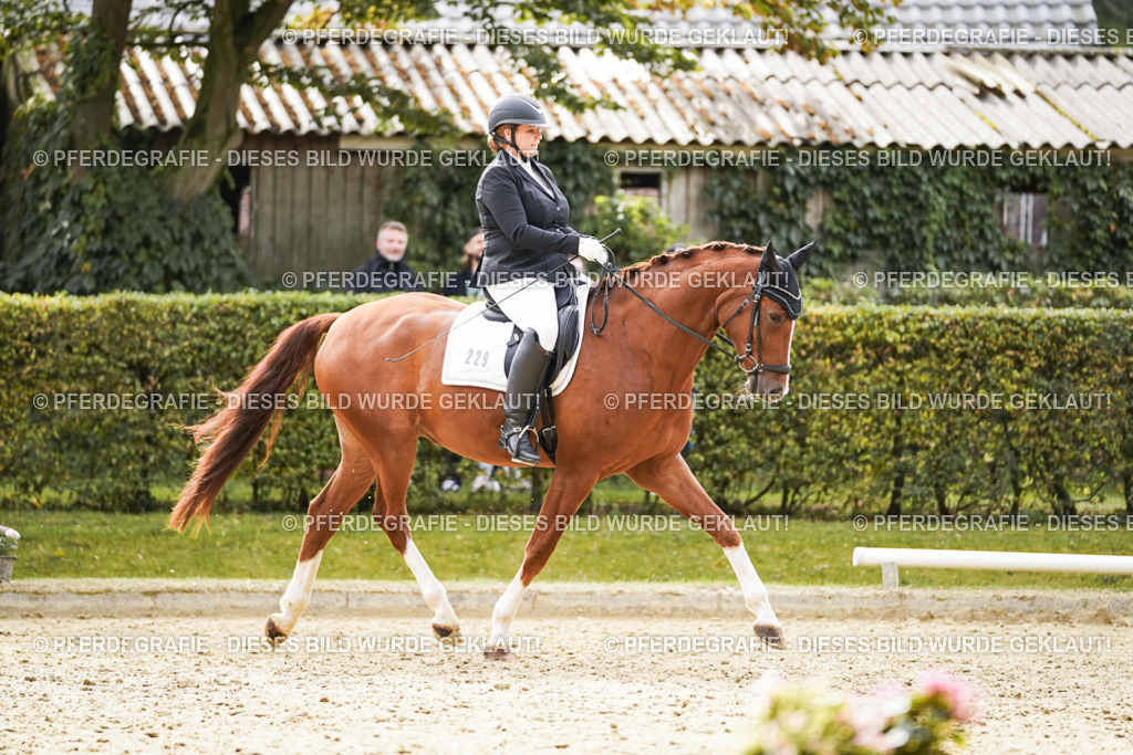 DSC01334 | Pferdegrafie