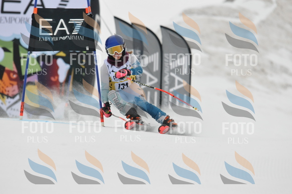 DSC_8314 | holidayphoto