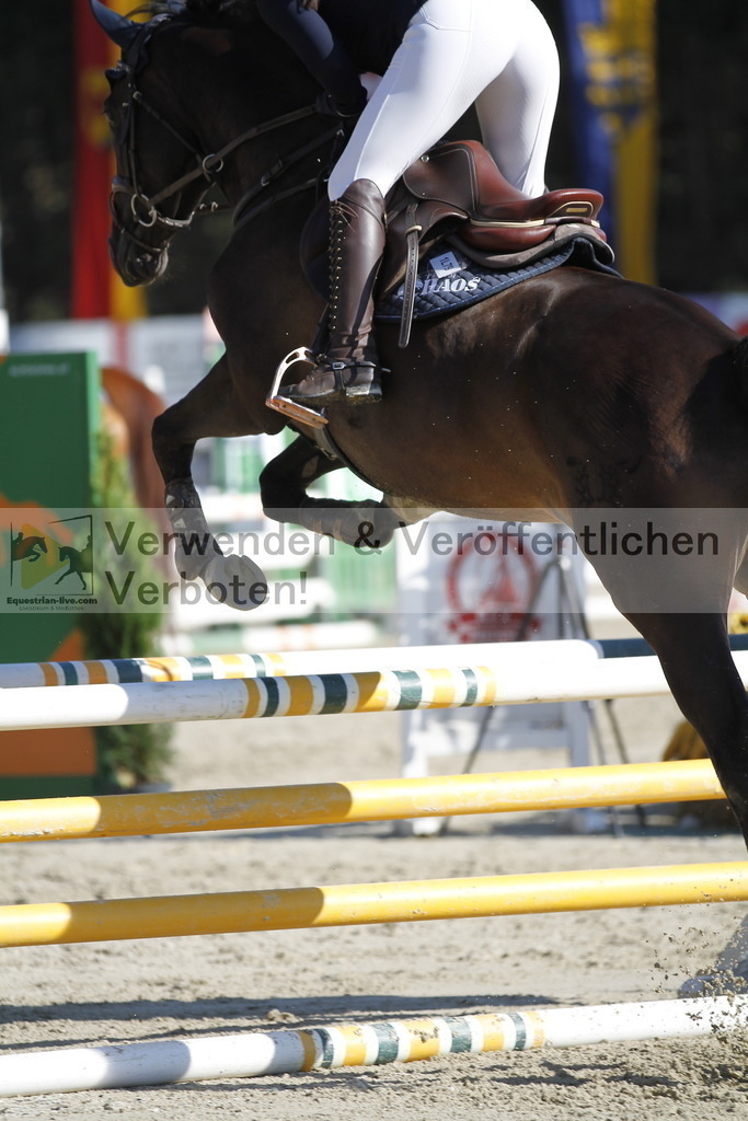 _MG_3846 | equestrian-live-com