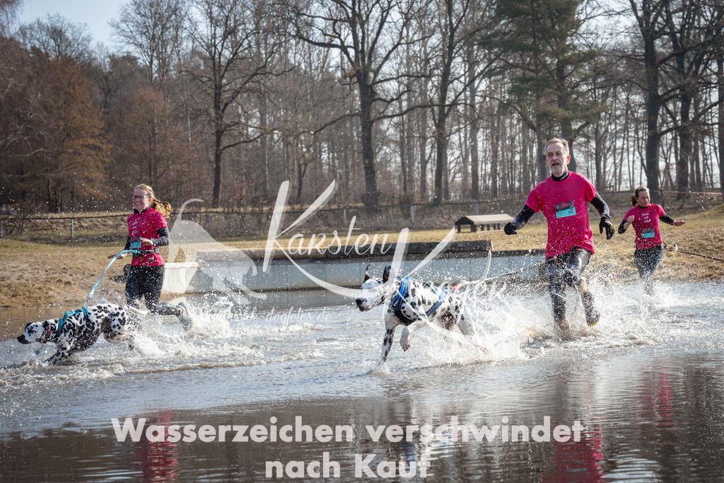 1113_ZZ93184 | kk-dogfotos