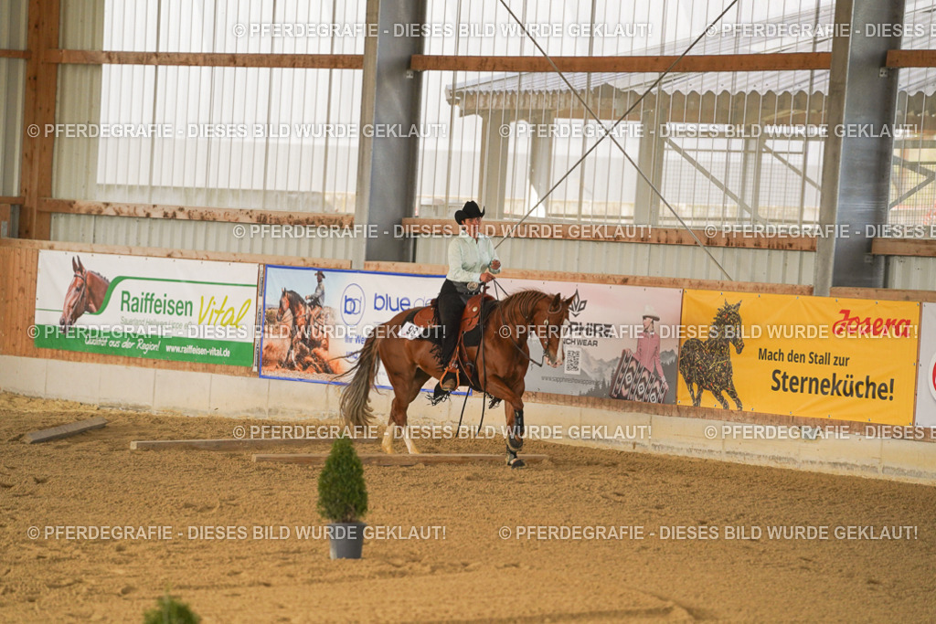 DSC03363 | Pferdegrafie