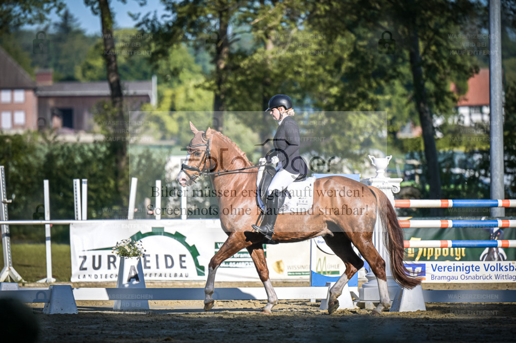 DOS_4074 | Entdecke hochwertige Reitturnierfotos von Foto Oger. Professionell, emotional und authentisch – jetzt Lieblingsmomente im Shop bestellen. - Realisiert mit Pictrs.com