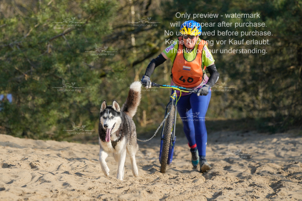 So_Scooter-332 | stephaniefillaphotographie - Realisiert mit Pictrs.com