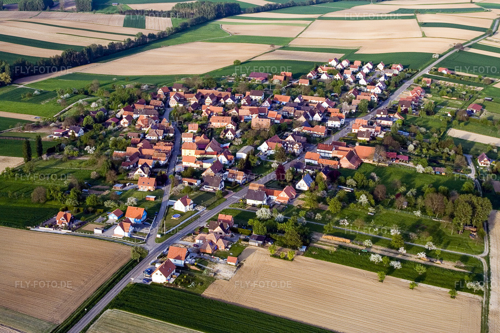 Luftbild: landwirtschaftlichen Feldern und Nutzflächen in Hoffen im Bundesland Bas-Rhin in Frankreich. Foto: IMG_10637.jpg vom 04.05.2008 durch Werner Riehm/FLY-FOTO.de