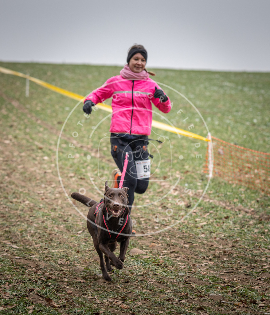 Pfotenfotografie_DV3A1858 | Hundefotografie, Tierfotograf, Pfotenfotografie, Fotoshooting Hund, Hunde Portrait, Hundesport, Hundeportraits, Heideshooting, Hunde, Sportfotograf, Hundefotograf, Turnierhundsport, THS,  - Realisiert mit Pictrs.com