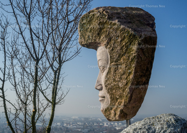 Wein_Stein-2 | ,, Bild: Thomas Neu