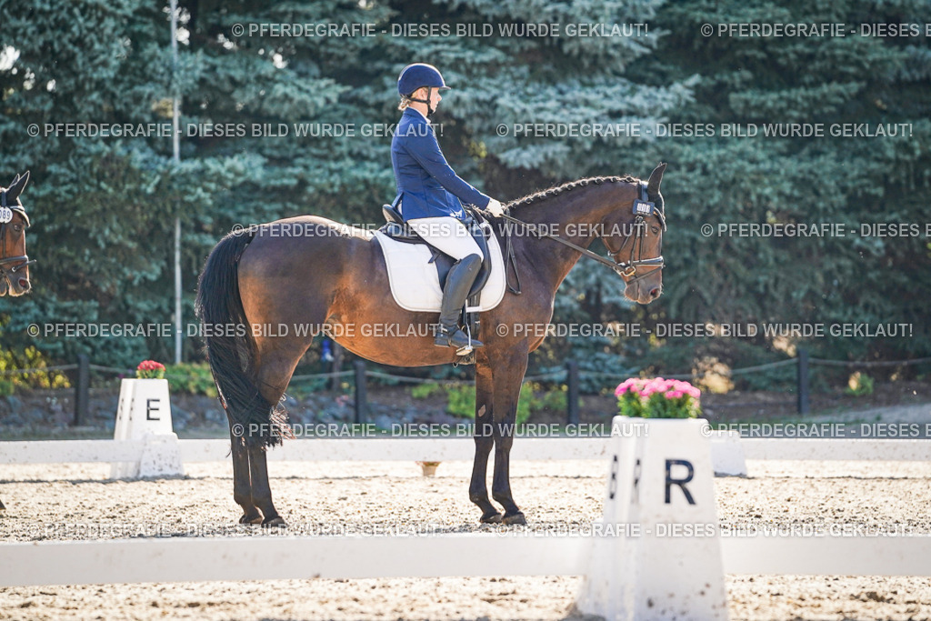 DSC09174 | Pferdegrafie