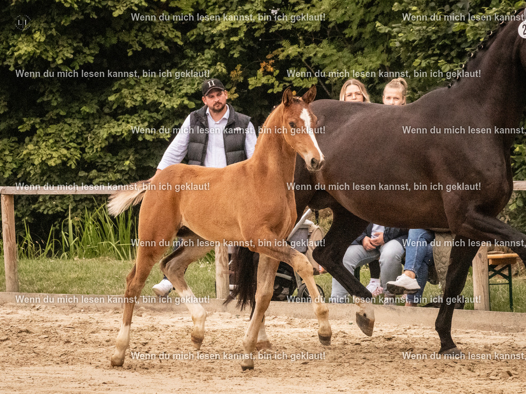 A10I1394 | photographylinaismer - Realisiert mit Pictrs.com