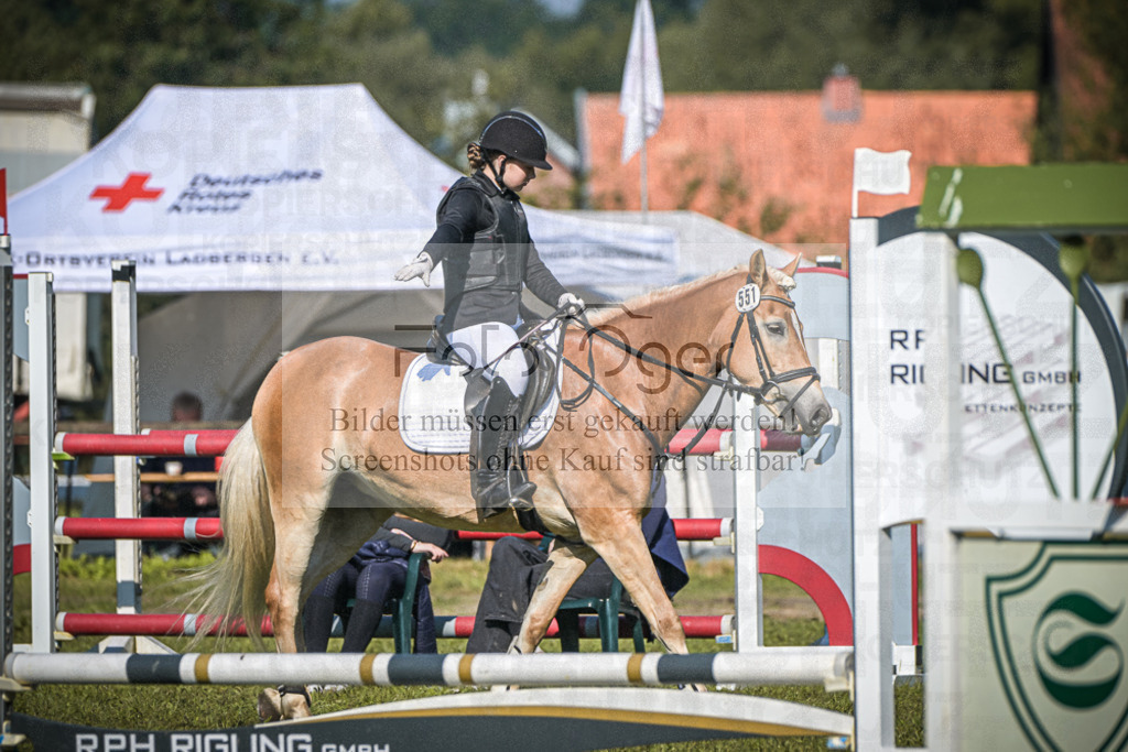DOS_0264 | Entdecke hochwertige Reitturnierfotos von Foto Oger. Professionell, emotional und authentisch – jetzt Lieblingsmomente im Shop bestellen.Deutschlandweite Turnierfotografie. - Realisiert mit Pictrs.com