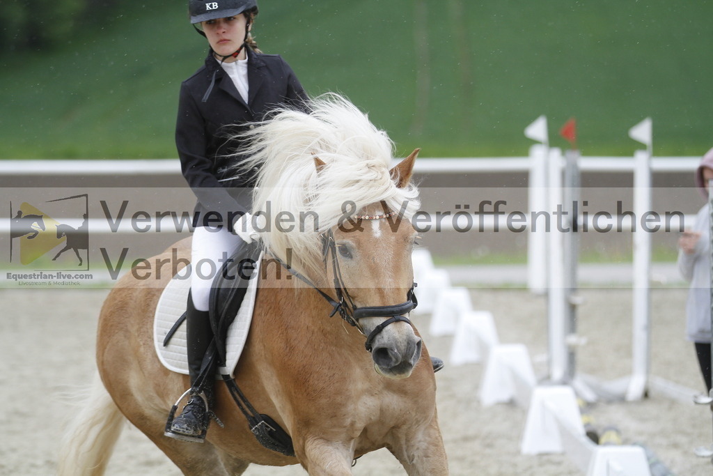 _MG_0989 | equestrian-live-com