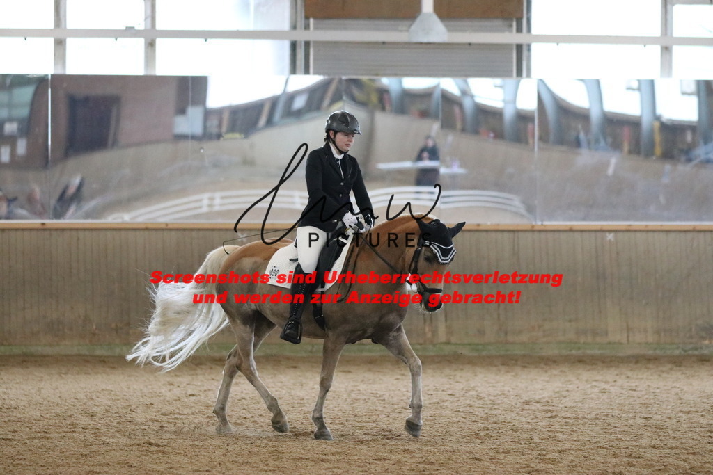 IMG_6837 | lmwpictures - Realisiert mit Pictrs.com