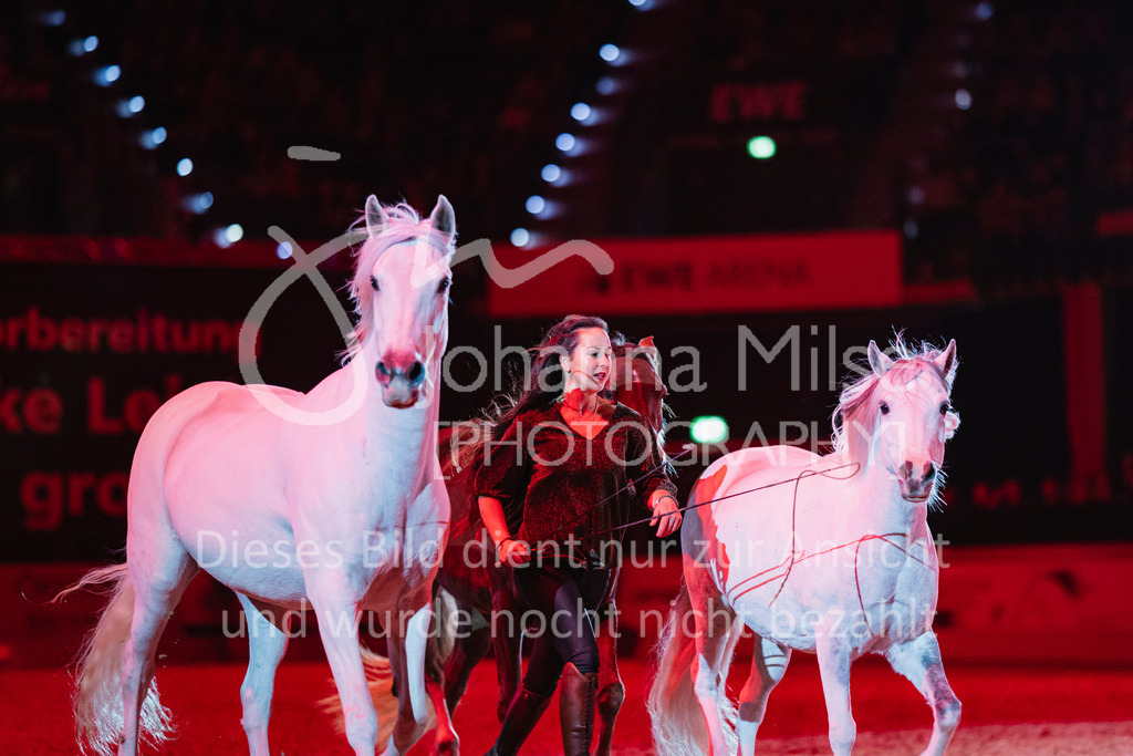 241102_Oldenburg_Show-336 | Deine schönsten Turniermomente als professionelle Fotos! Entdecke hochwertige Pferdesport-Fotografie im Online-Shop. Jetzt Fotos finden & bestellen!