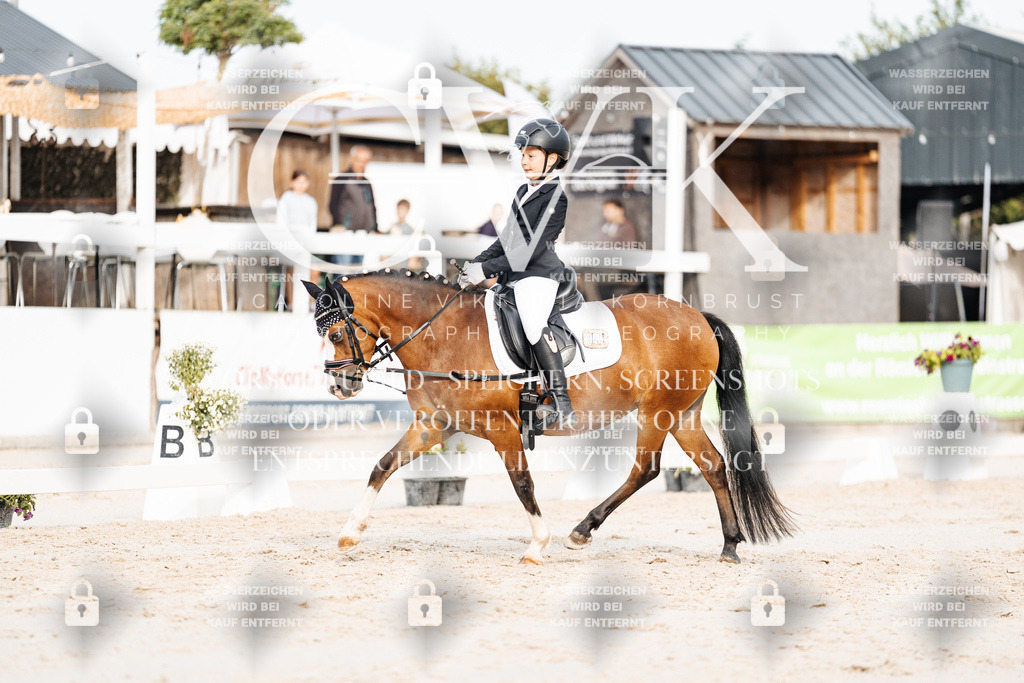 CK904302 | Turnierfotografie Pferdefotografie Trier Rheinland-Pfalz Pferdesport Reitsport Tierfotografie Sportfotografie Pferdevideo Pferdevideografie Equestrianvideography equestrianphotography  - Realisiert mit Pictrs.com