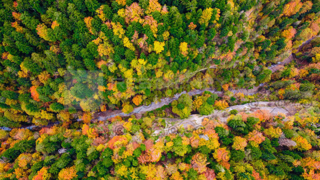 Photo_6553974_DJI_374_jpg_5412327_0_2021102212648_photo_original | DCIM\100MEDIA\DJI_0374.JPG - Realisiert mit Pictrs.com