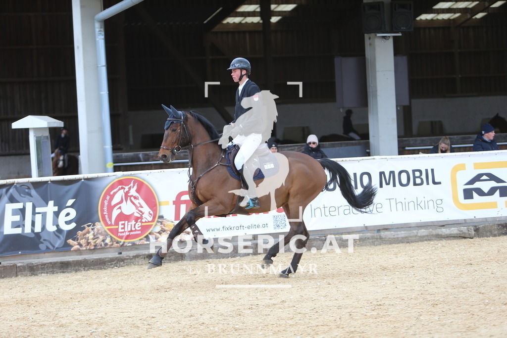 DL2Q9673 | Willkommen bei Brunnmayr - Design & Fotografie – Ihrem Spezialisten für Reitturniere und Pferdeveranstaltungen in Oberösterreich, Salzburg und Bayern! Seit über 17 Jahren sind wir leidenschaftlich dabei.