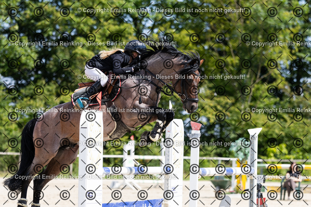 CL5A1018 | Emilia Reinking Fotografie - Realisiert mit Pictrs.com