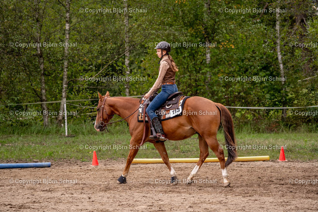 SAL03486 | BS-foto