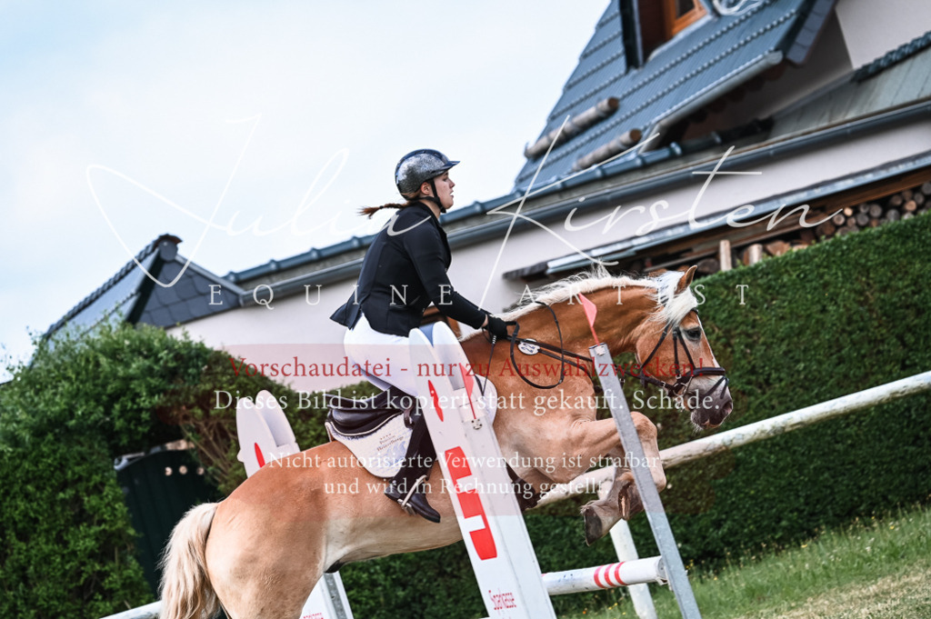 DSC_8115 | Pferde- und Turnierfotografie in Westsachsen. Pferdeportraits, Auftragszeichnungen und intuitive Kunst.