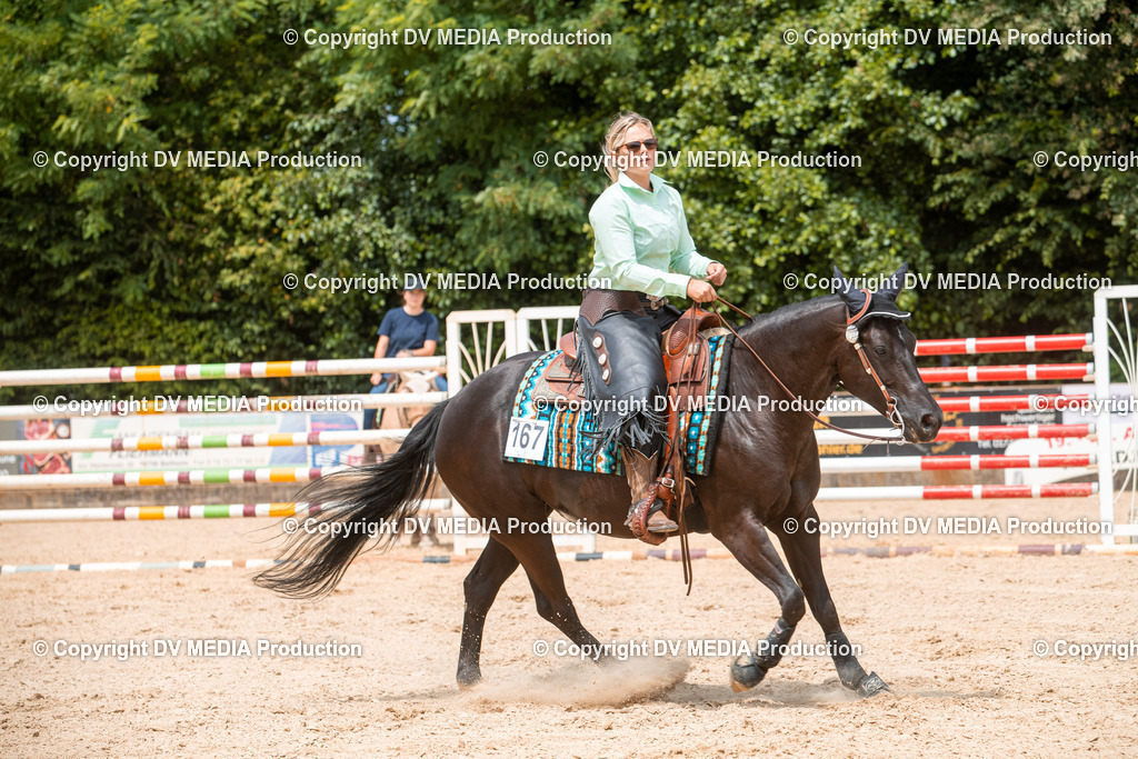 EWP_6400 | dv-media-shop - Realisiert mit Pictrs.com