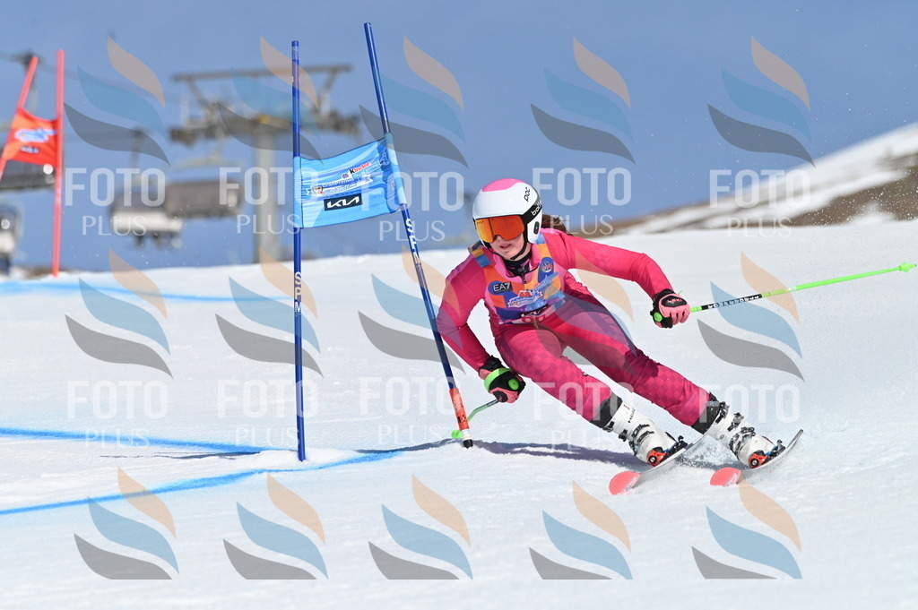 BGV_8723 | holidayphoto