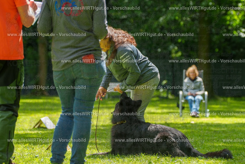 @allesWIRTHgut_Tierfotografie - www.allesWIRTHgut.de - 7R505668 | Professionelle Tierfotografie in Mönchengladbach von Daniel Wirth (allesWIRTHgut). Liebevolle & natürliche Bilder von Hunden & Katzen für unvergessliche Erinnerungen.