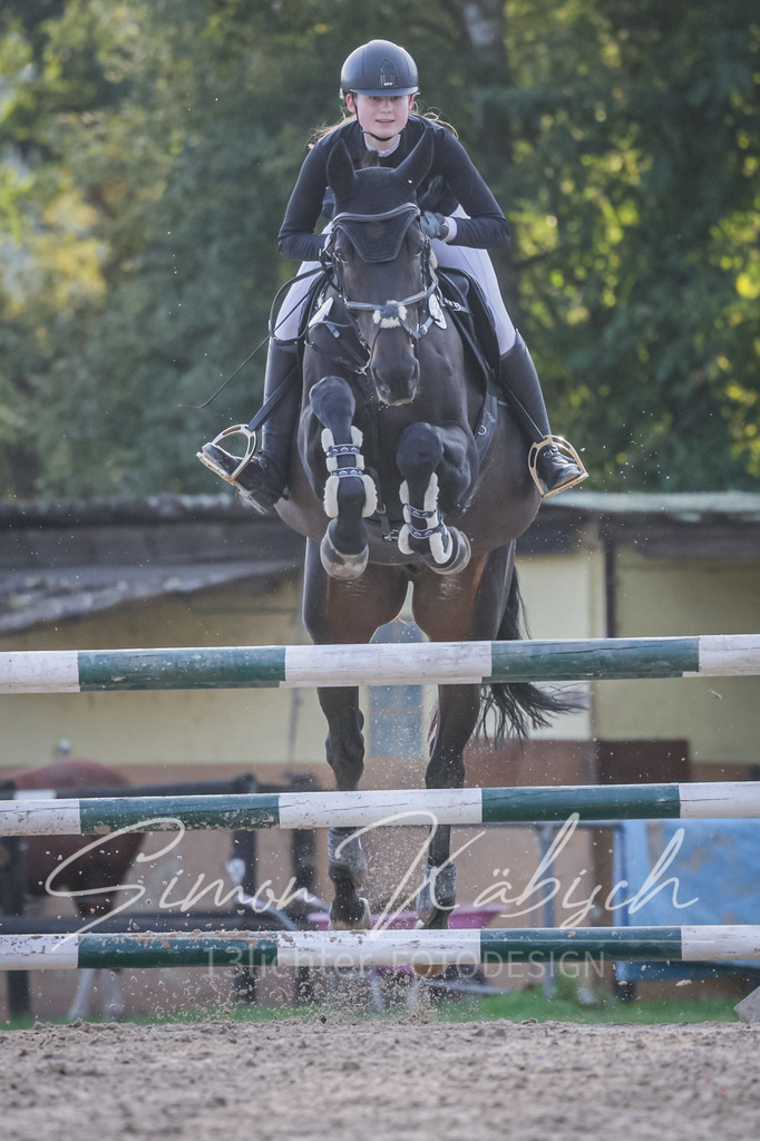 20251012-_3LI5776 | Tierfotografie Pferde, Hunde, Katzen, Haustiere.
Turnierfotografie Reitturniere, Reiten, Springreiten, Dressur in Hanau, dem Main-Kinzig-Kreis und dem Rhein-Main- Gebiet um Frankfurt