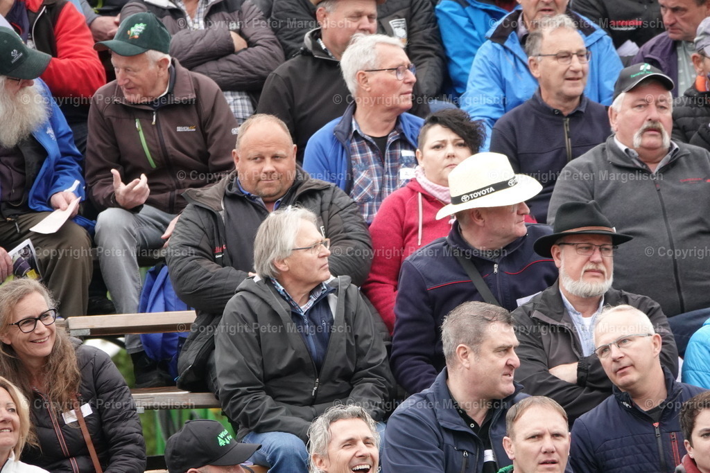 DSC03208 | Schwingen - Realisiert mit Pictrs.com