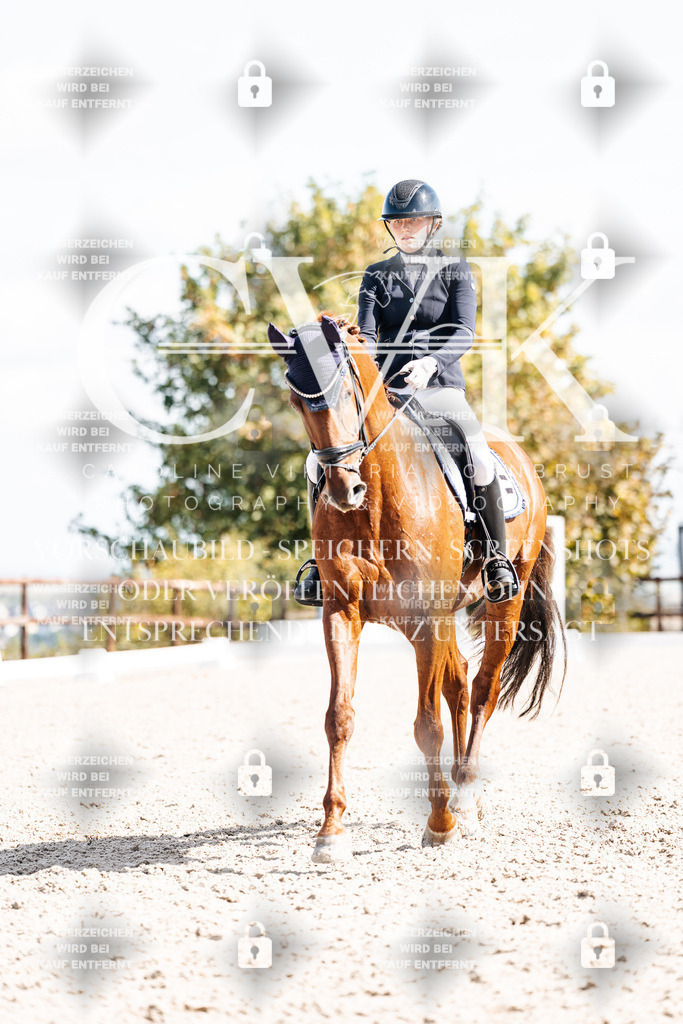 CK902599 | Turnierfotografie Pferdefotografie Trier Rheinland-Pfalz Pferdesport Reitsport Tierfotografie Sportfotografie Pferdevideo Pferdevideografie Equestrianvideography equestrianphotography  - Realisiert mit Pictrs.com