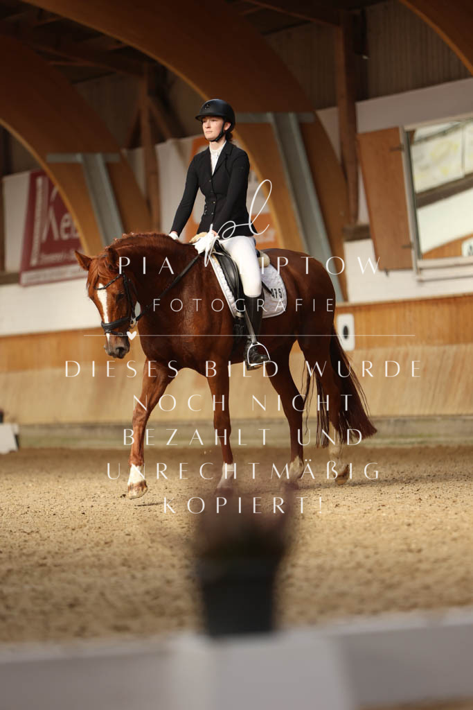 IMGM4037 | pl-fotografie