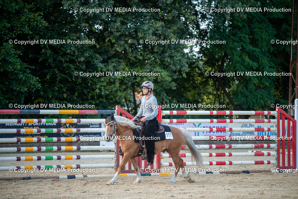 EWP_7295 | dv-media-shop - Realisiert mit Pictrs.com