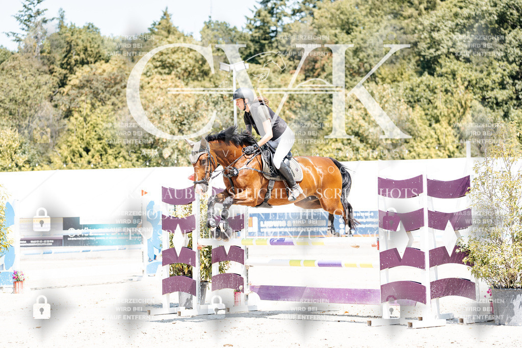 CK900309 | Turnierfotografie Pferdefotografie Trier Rheinland-Pfalz Pferdesport Reitsport Tierfotografie Sportfotografie Pferdevideo Pferdevideografie Equestrianvideography equestrianphotography  - Realisiert mit Pictrs.com