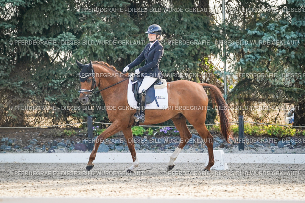 DSC08015 | Pferdegrafie