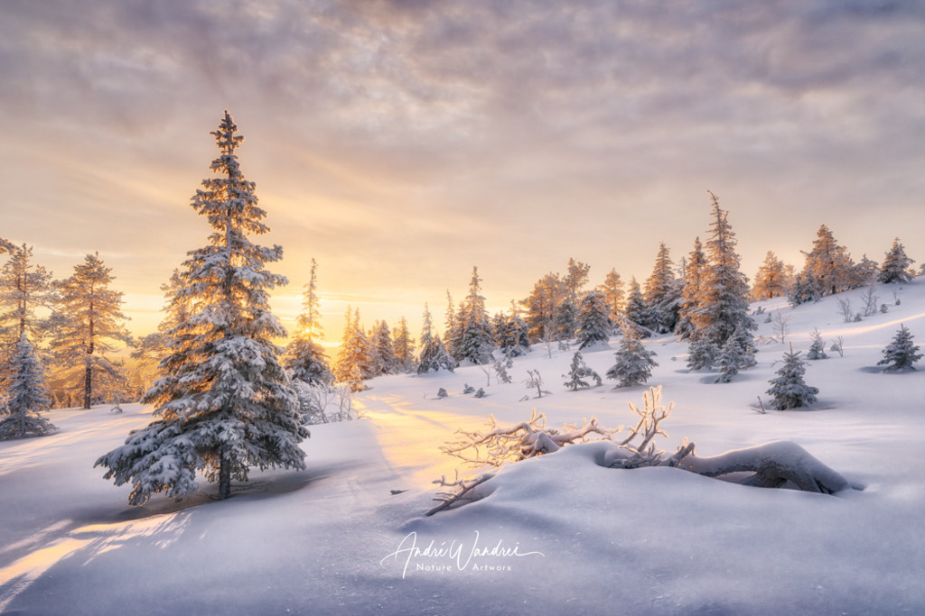 Ein Moment aus Licht und Frost | Andre Wandrei - Nature Artworx - Realisiert mit Pictrs.com