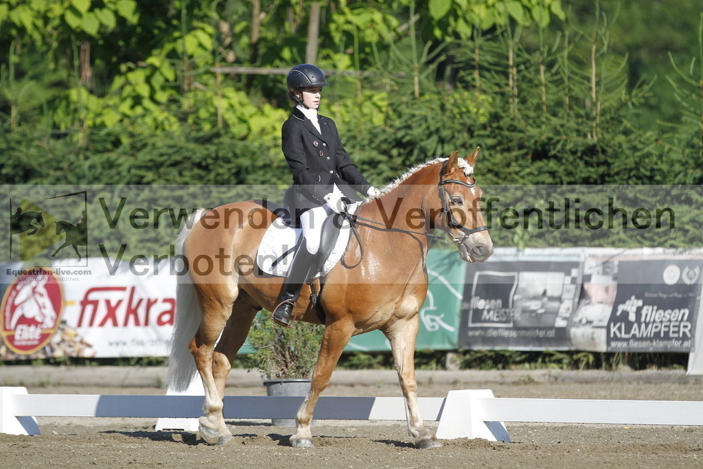 _MG_0422 | equestrian-live-com