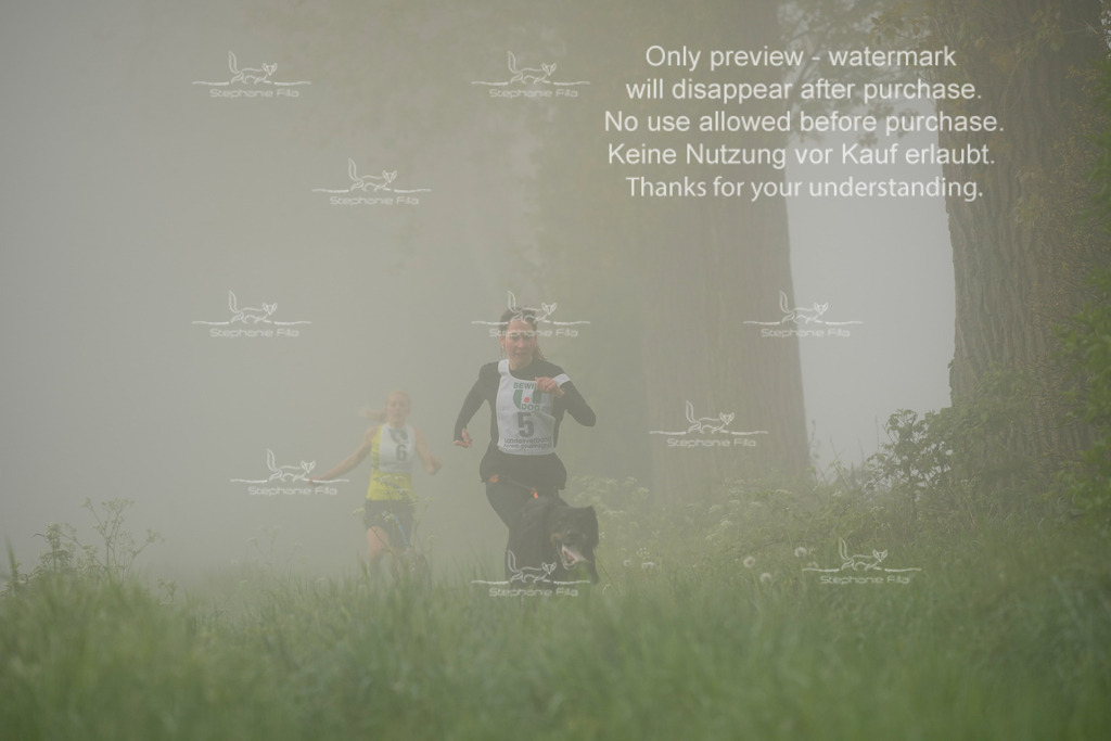 SA_GL2-19 | stephaniefillaphotographie - Realisiert mit Pictrs.com