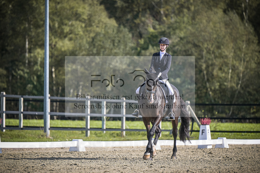DOS_1841 | Entdecke hochwertige Reitturnierfotos von Foto Oger. Professionell, emotional und authentisch – jetzt Lieblingsmomente im Shop bestellen.Deutschlandweite Turnierfotografie. - Realisiert mit Pictrs.com