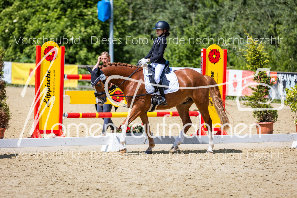 Donop24-RWB-045 | MomenTaufnahmen Pferdesportfotos